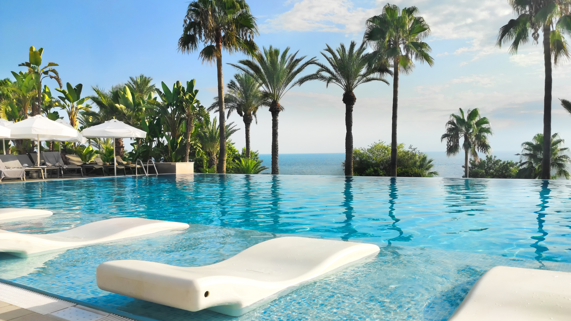 Peaceful luxury hotel pool surrounded by trees