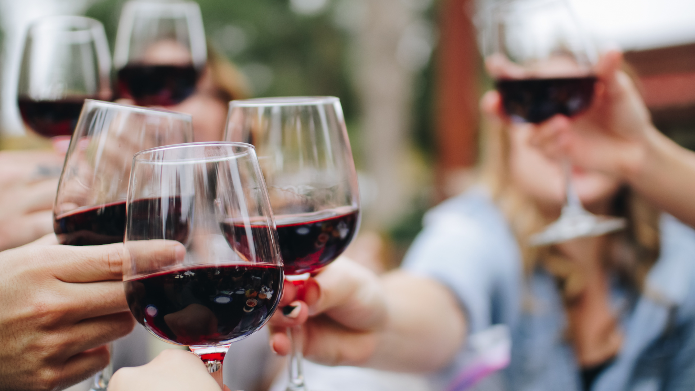 Friends sharing a wine-country experience