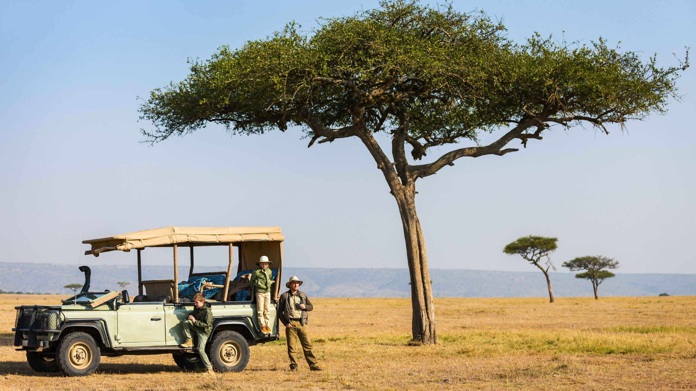 African safari wildlife experience