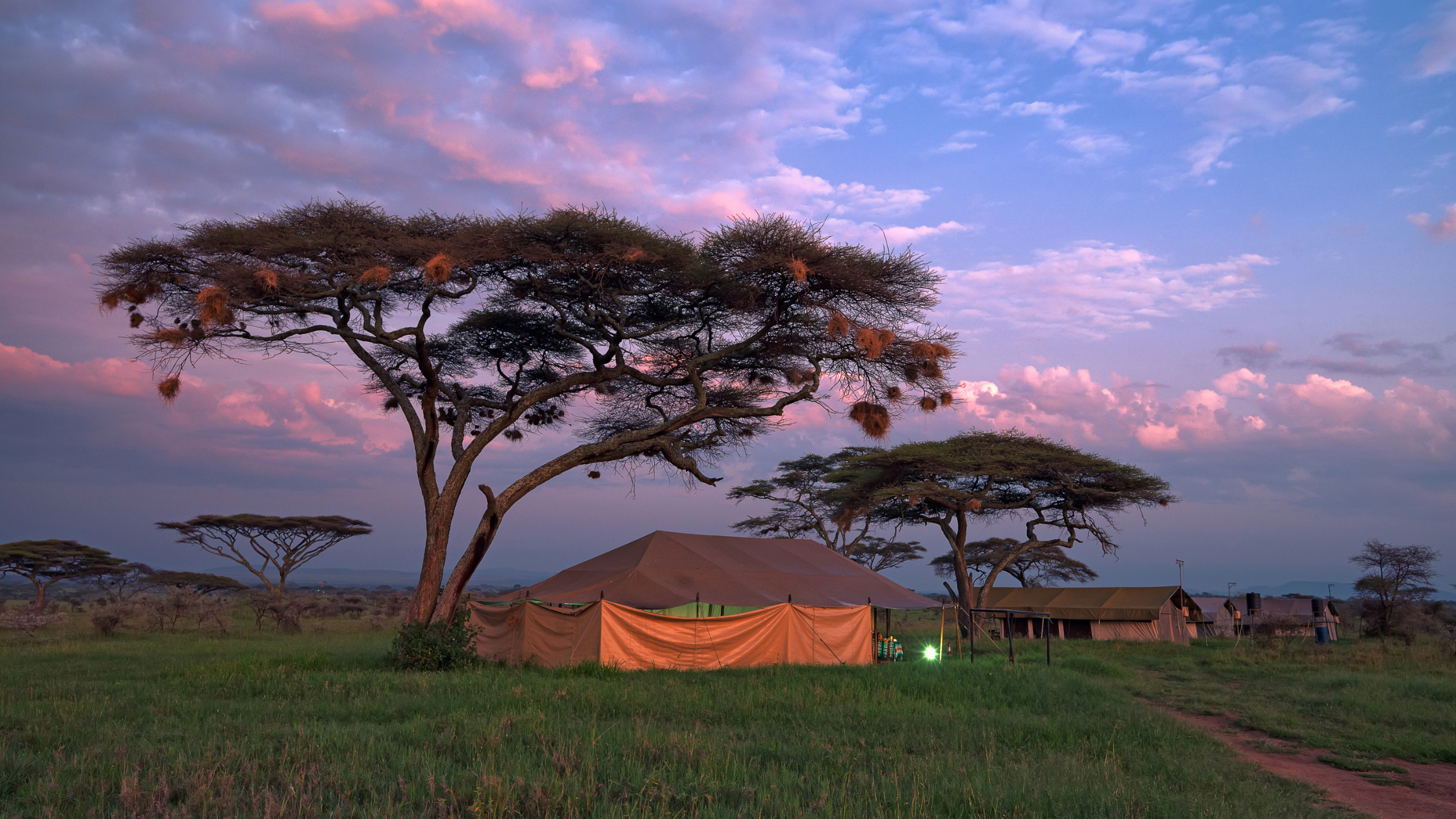 Exceptional safari camp