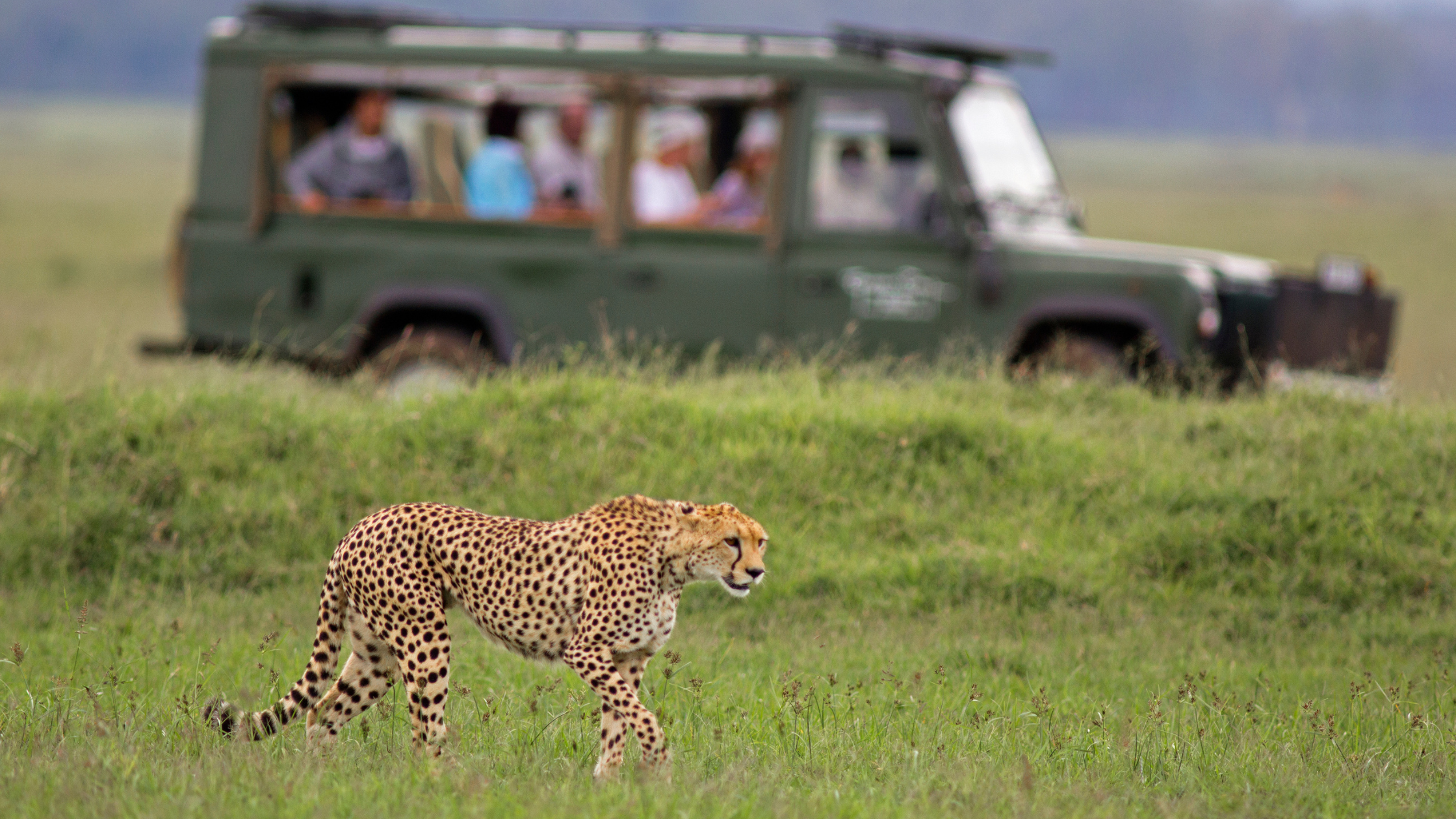 Once-in-a-lifetime safari journey